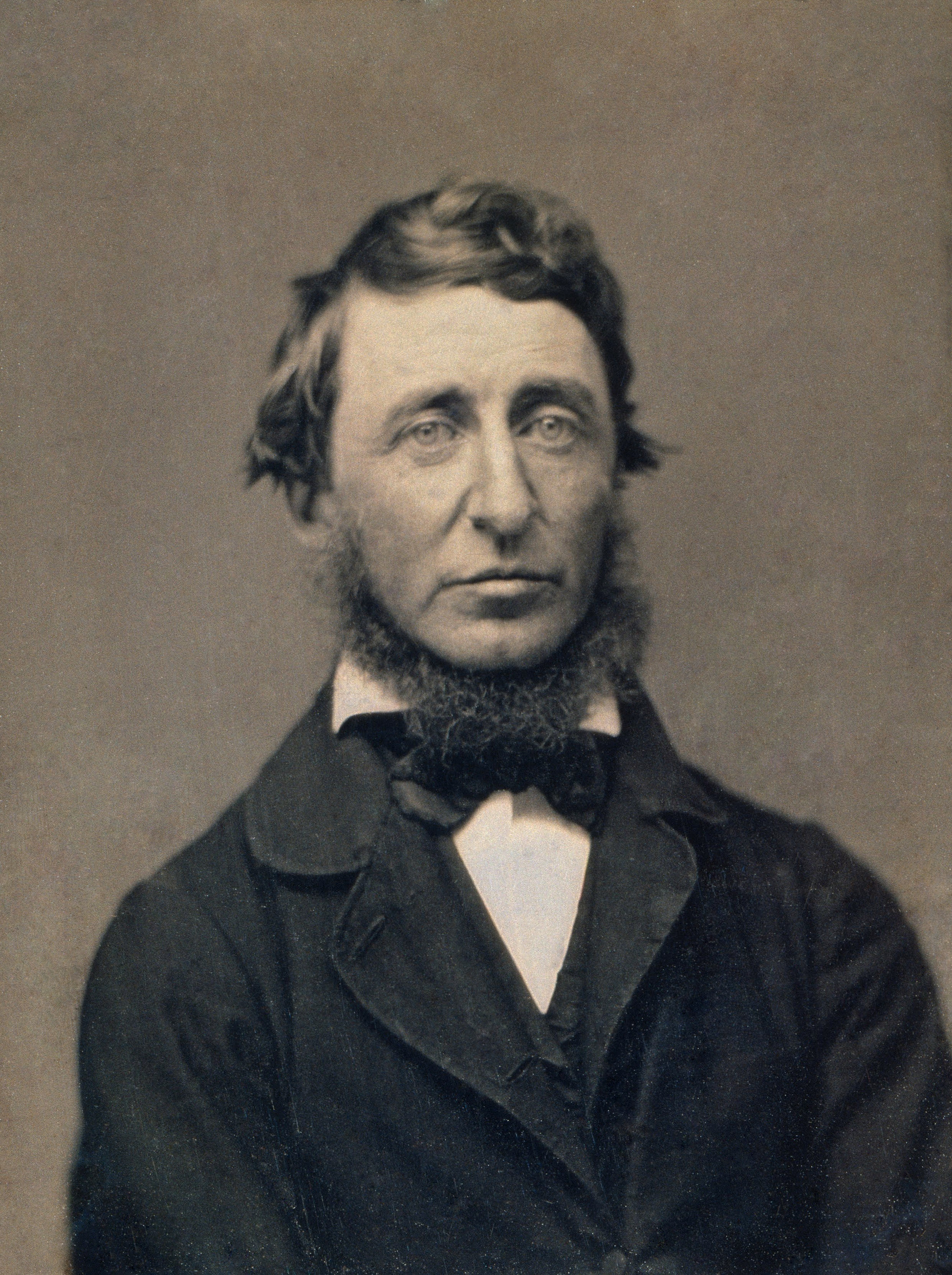 auteur Henry David Thoreau