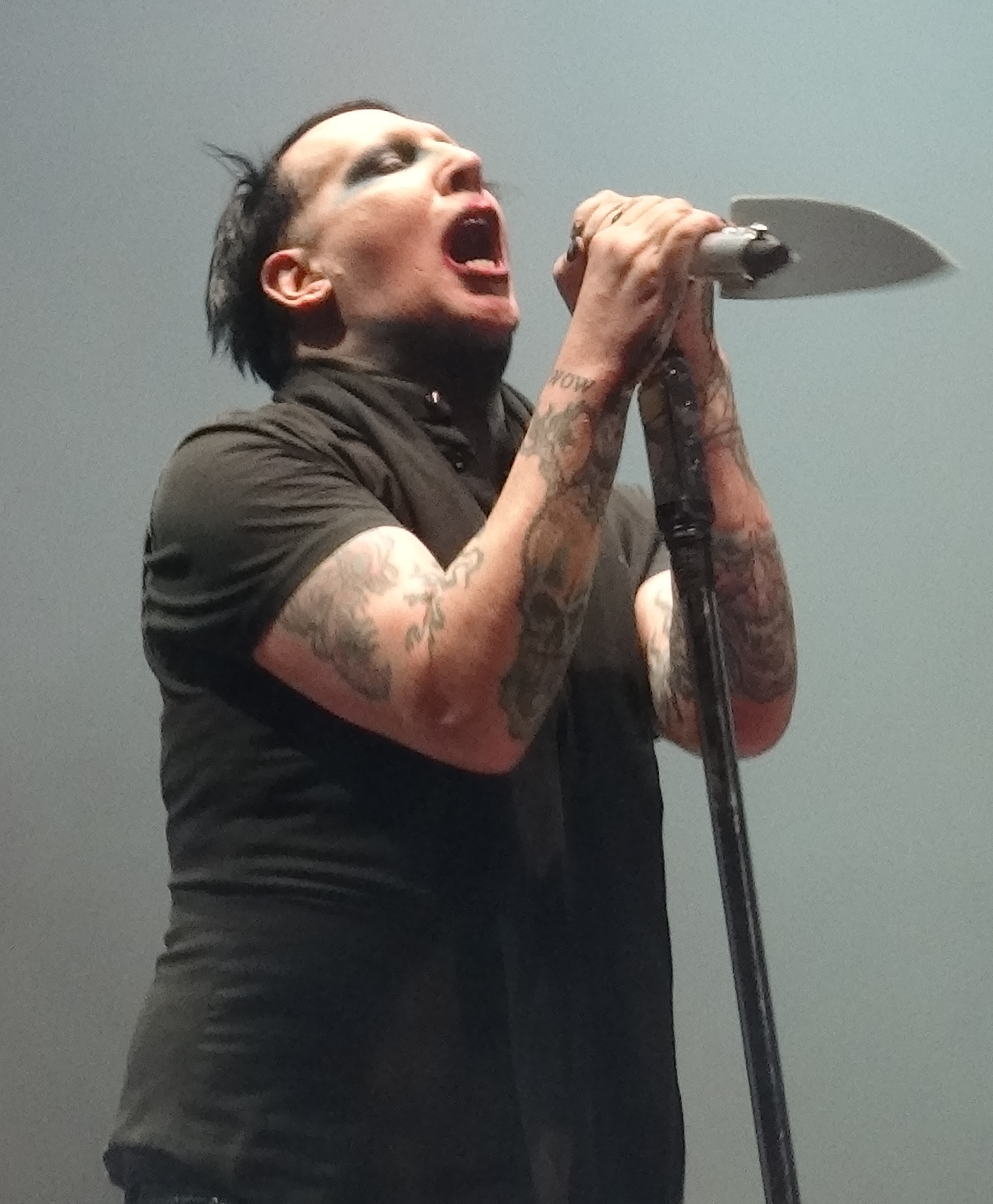 auteur Marilyn Manson de la citation Mieux vaut prier pour l'enfer, pas Hallelujah.