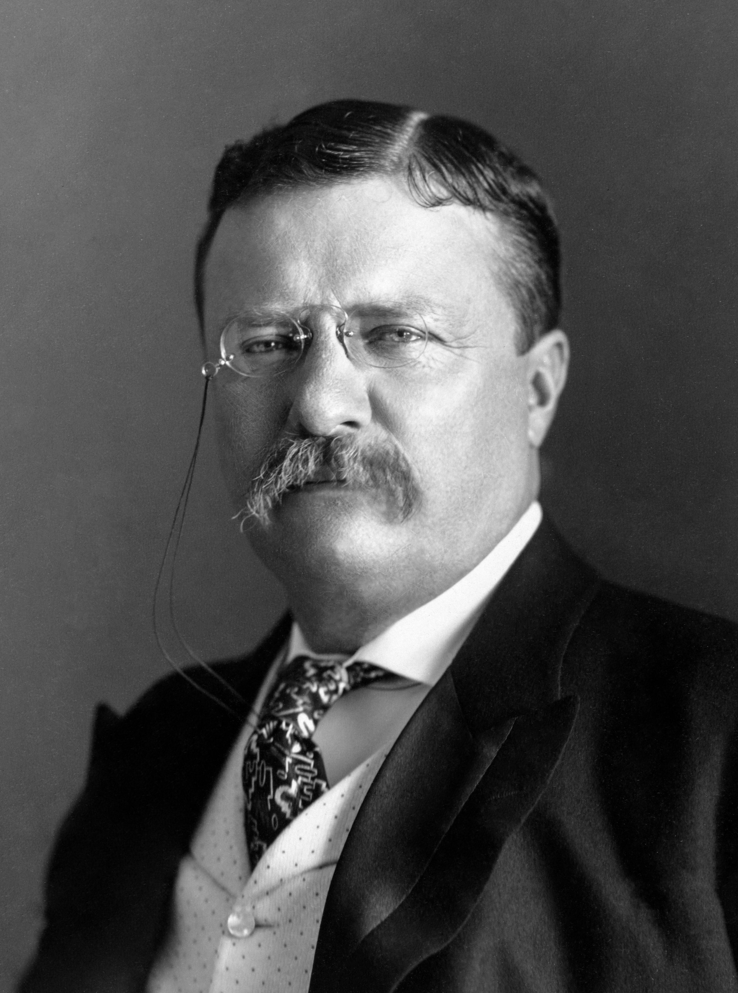 auteur Theodore Roosevelt de la citation Le bien-être de chacun de nous dépend fondamentalement du bien-être de nous tous