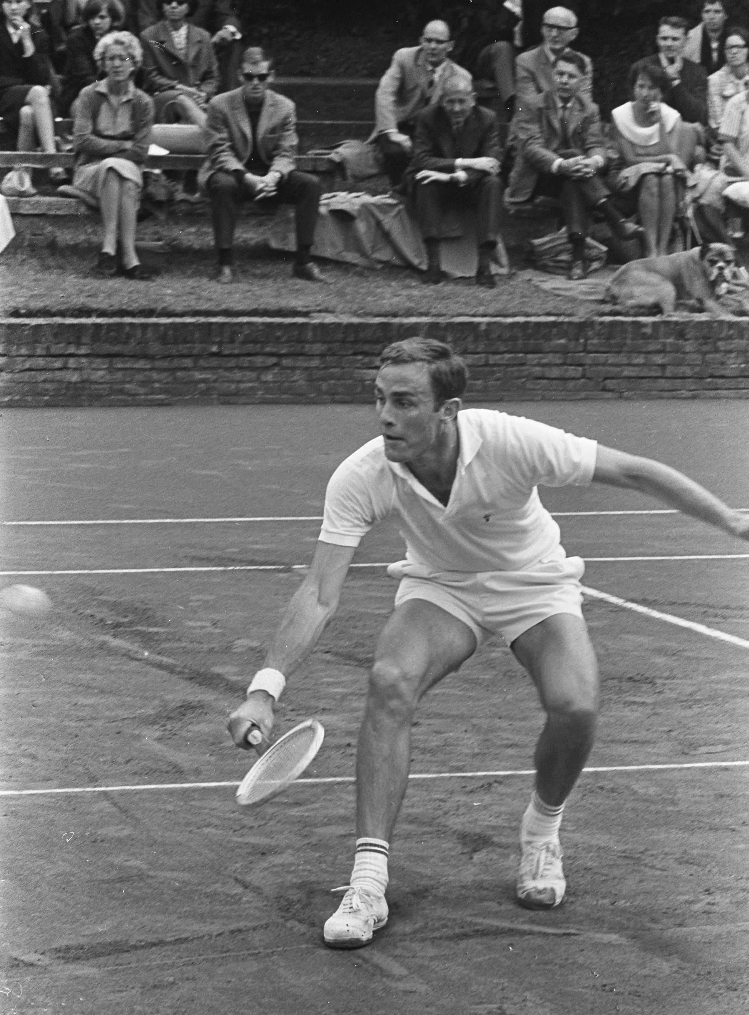 auteur John Newcombe de la citation J'avais également fait la première équipe de tennis. J'étais le joueur numéro deux de l'école à 11 ans et cela ne reposait pas très bien avec les gens.