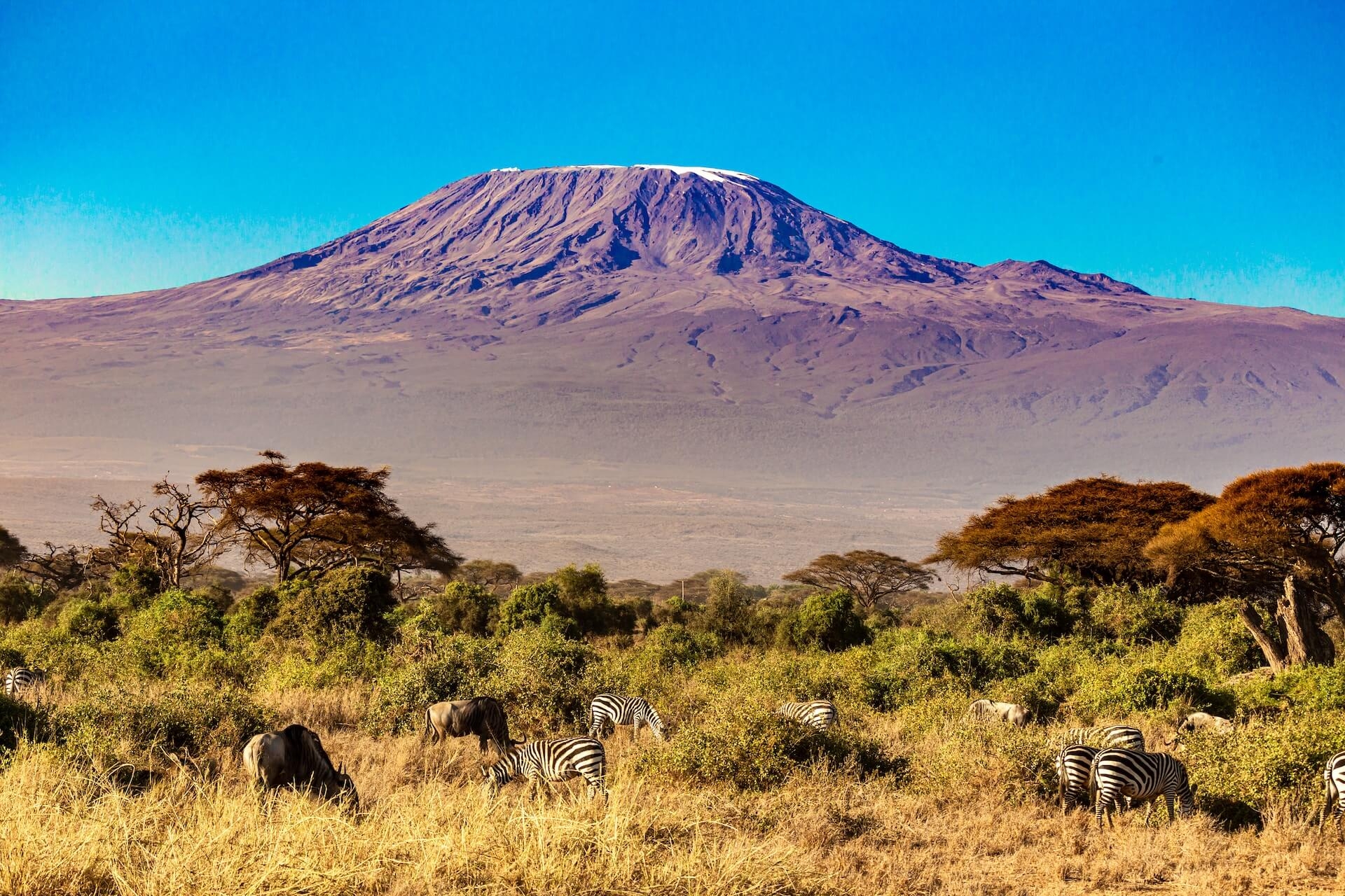 thème Kilimandjaro